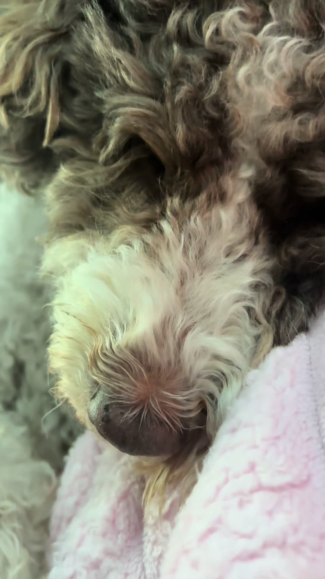 @Matthew Kertesz