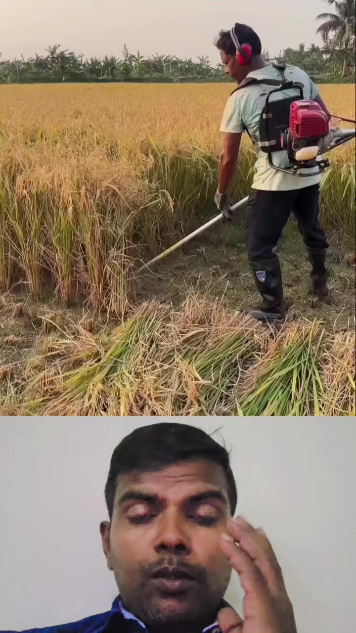 @user17446384362