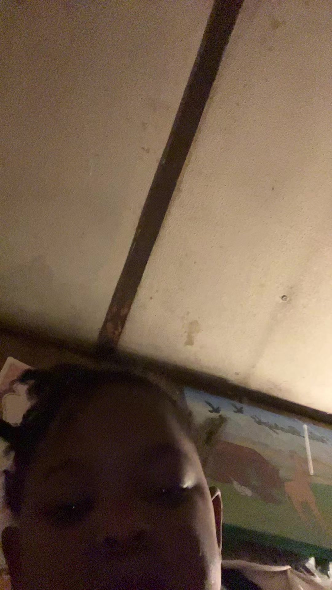 @Diorrrr.Shelia🦋✨