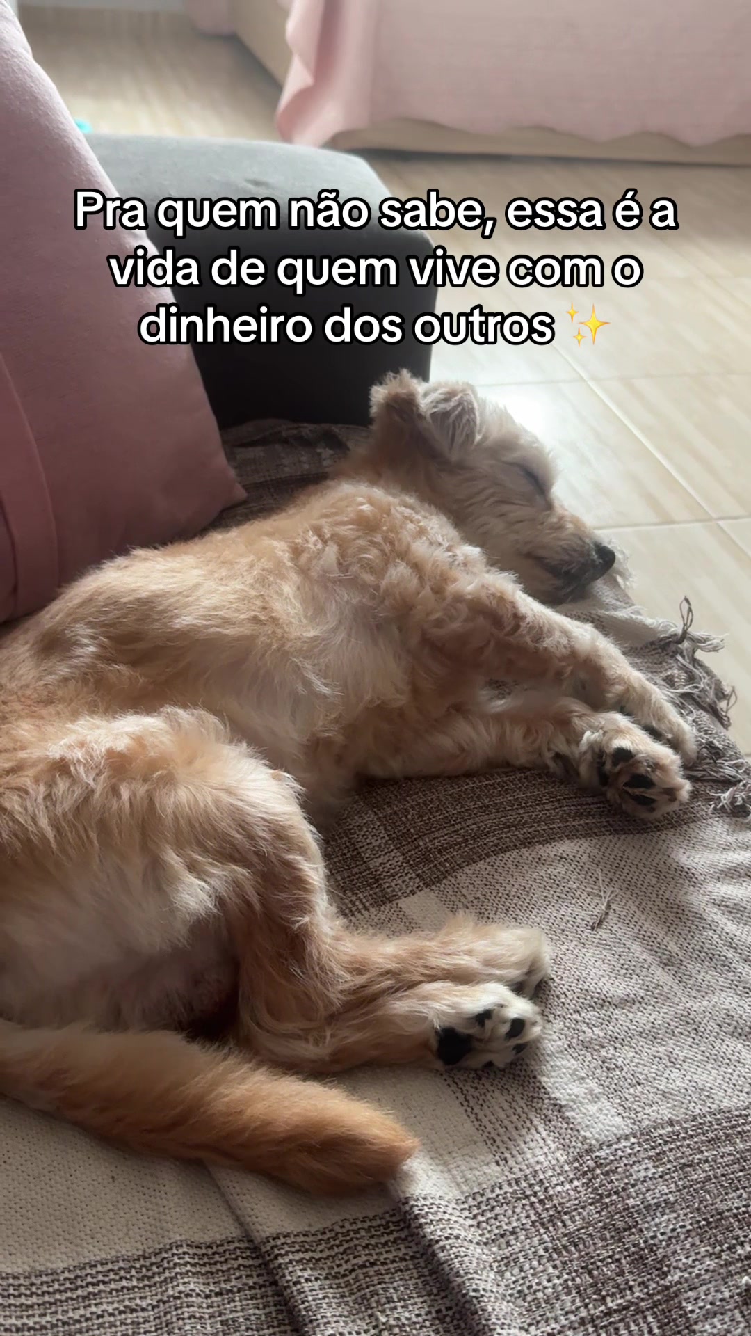 @aanac.silveira