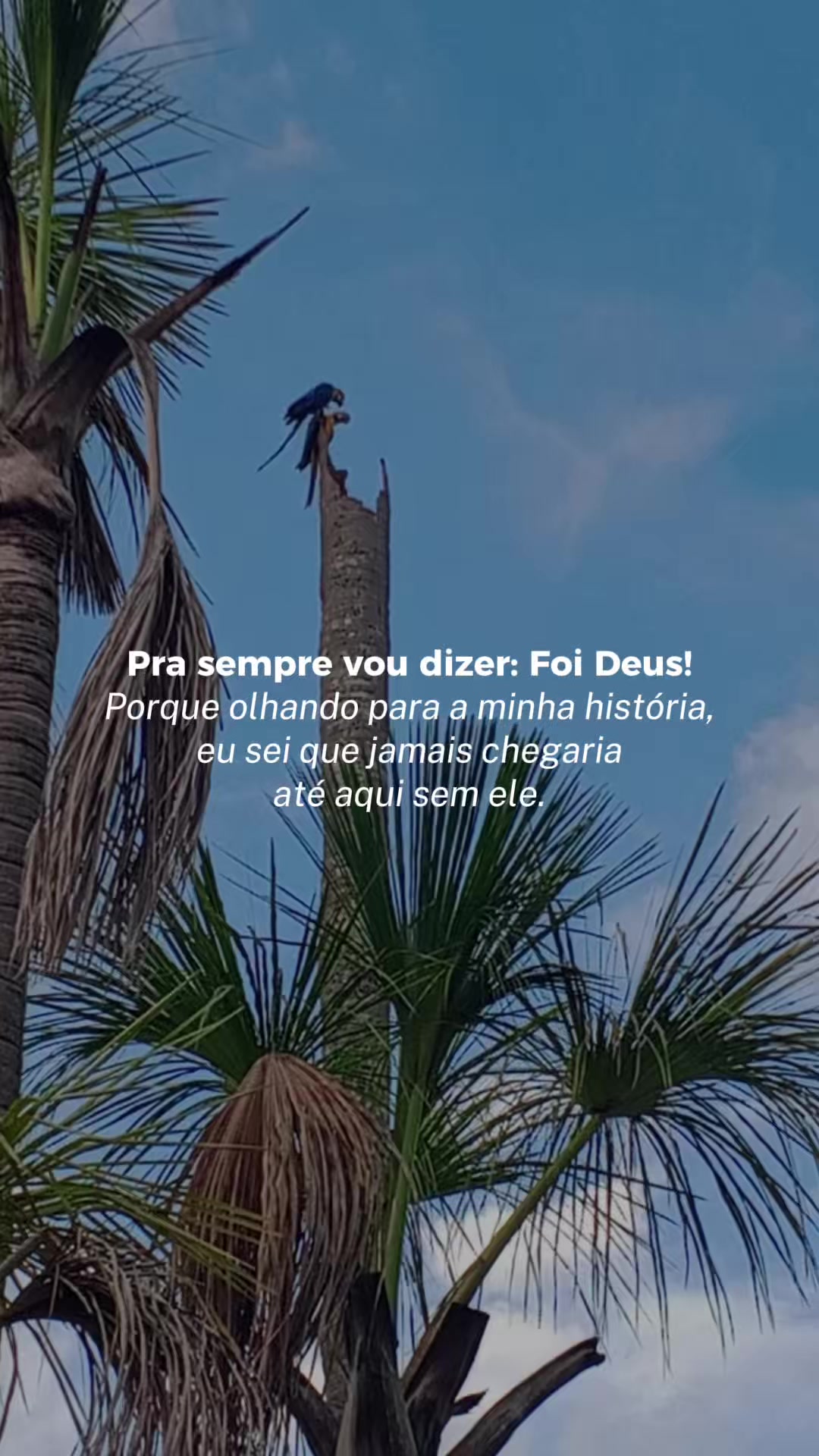 @Suzana Calixto