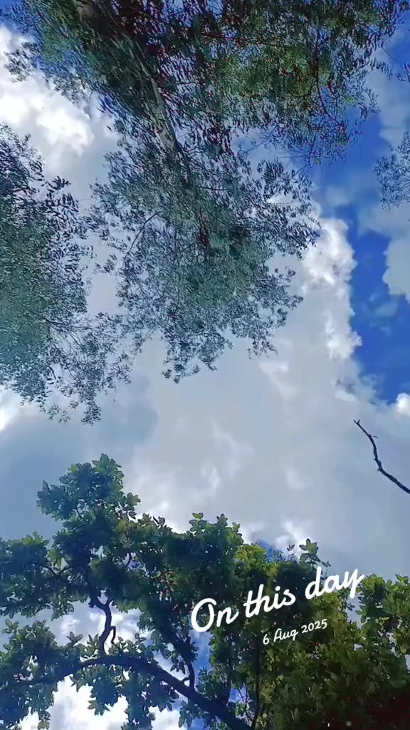 @saroj❣️kriti