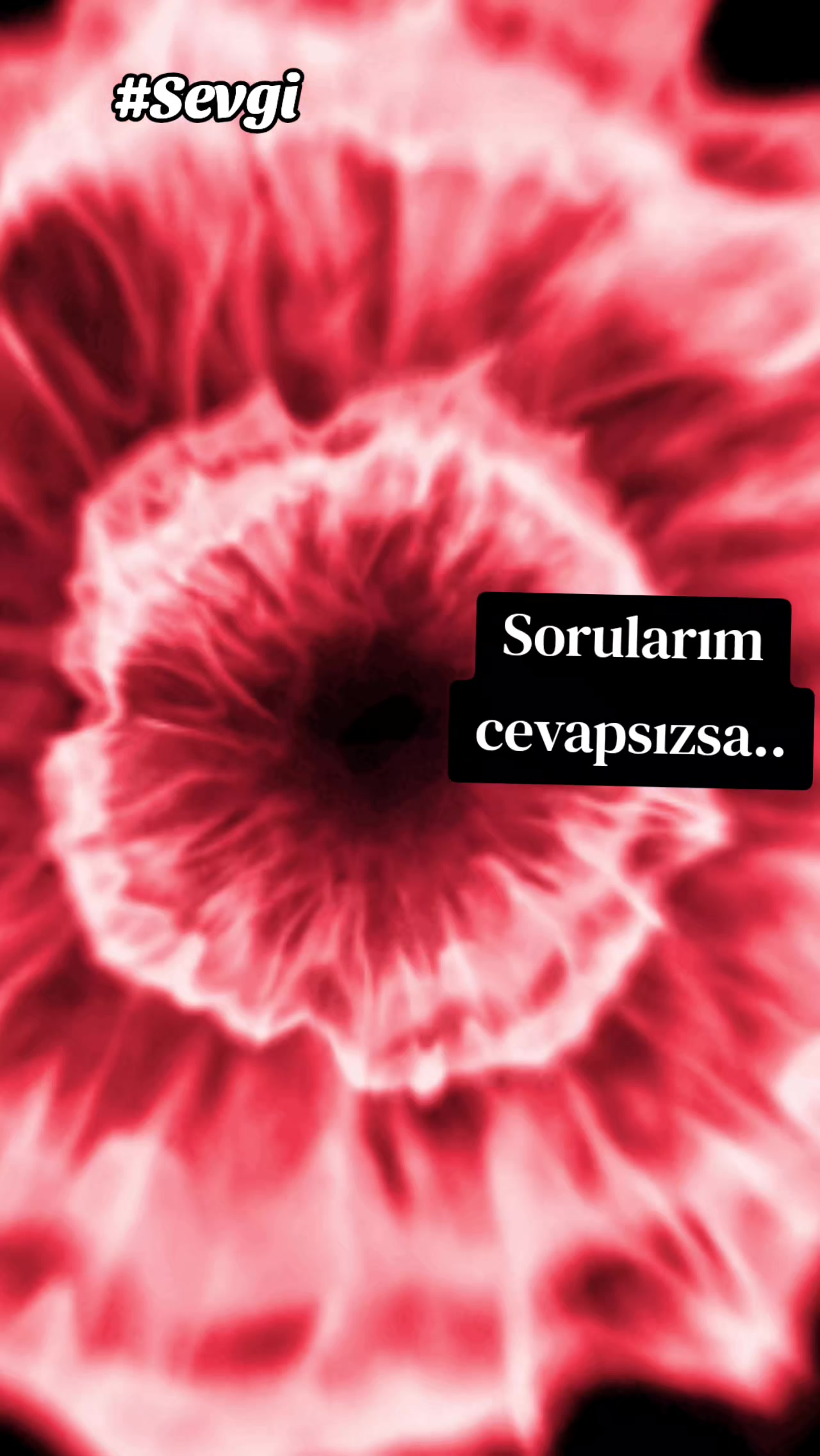 @S❤️E❤️V❤️G❤️İ