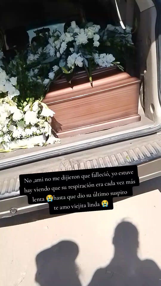 @Ibáñez🔥