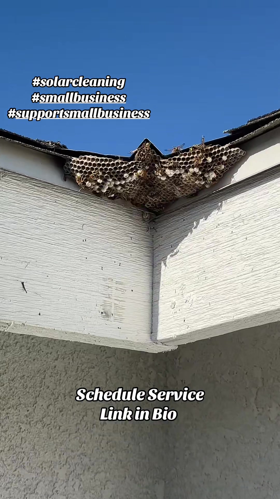 @Nick_HuuCal_Solar_Cleaning