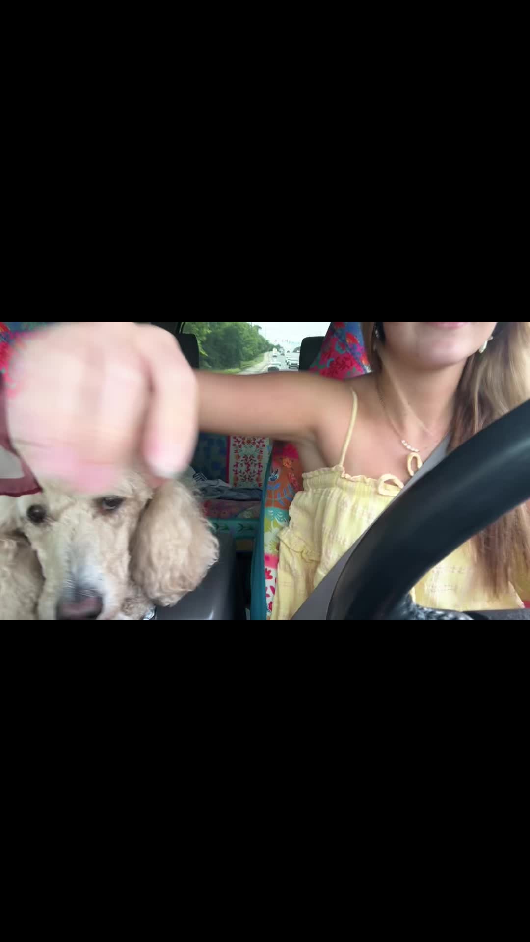 @camreylitz