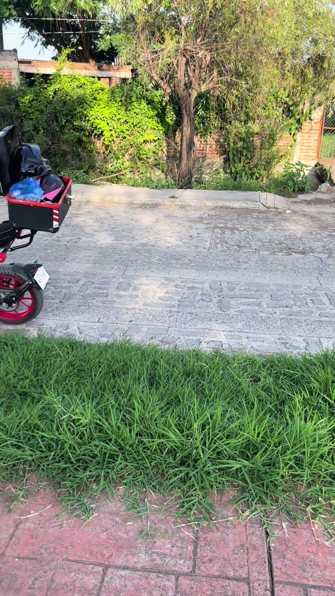 @Alejandro SD🔥🏍️
