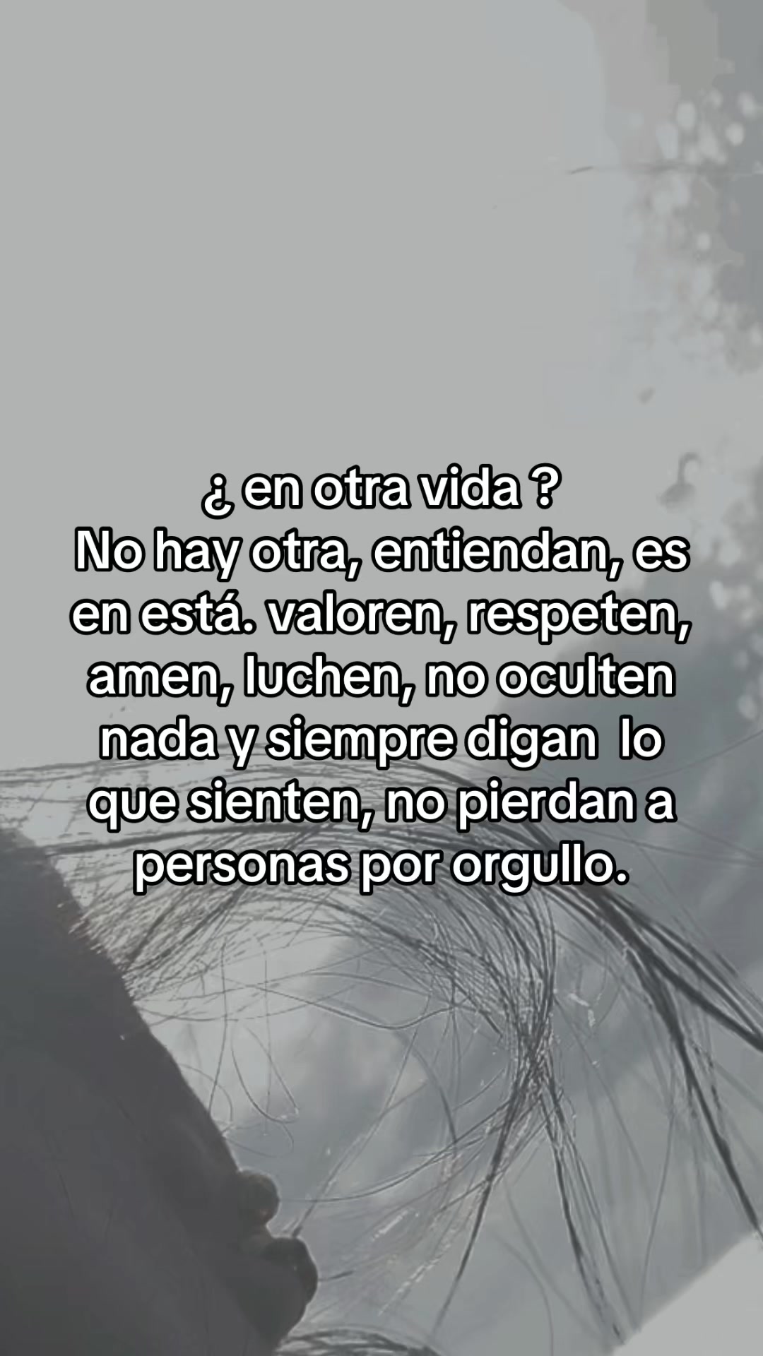 @ᥫ᭡