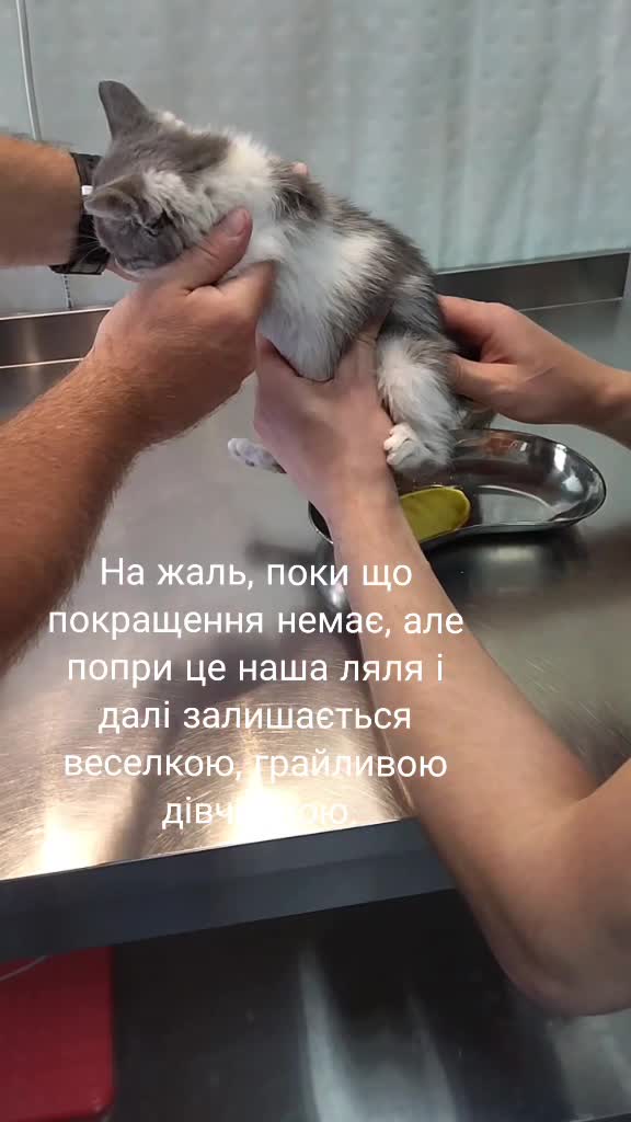 @Masha Savik