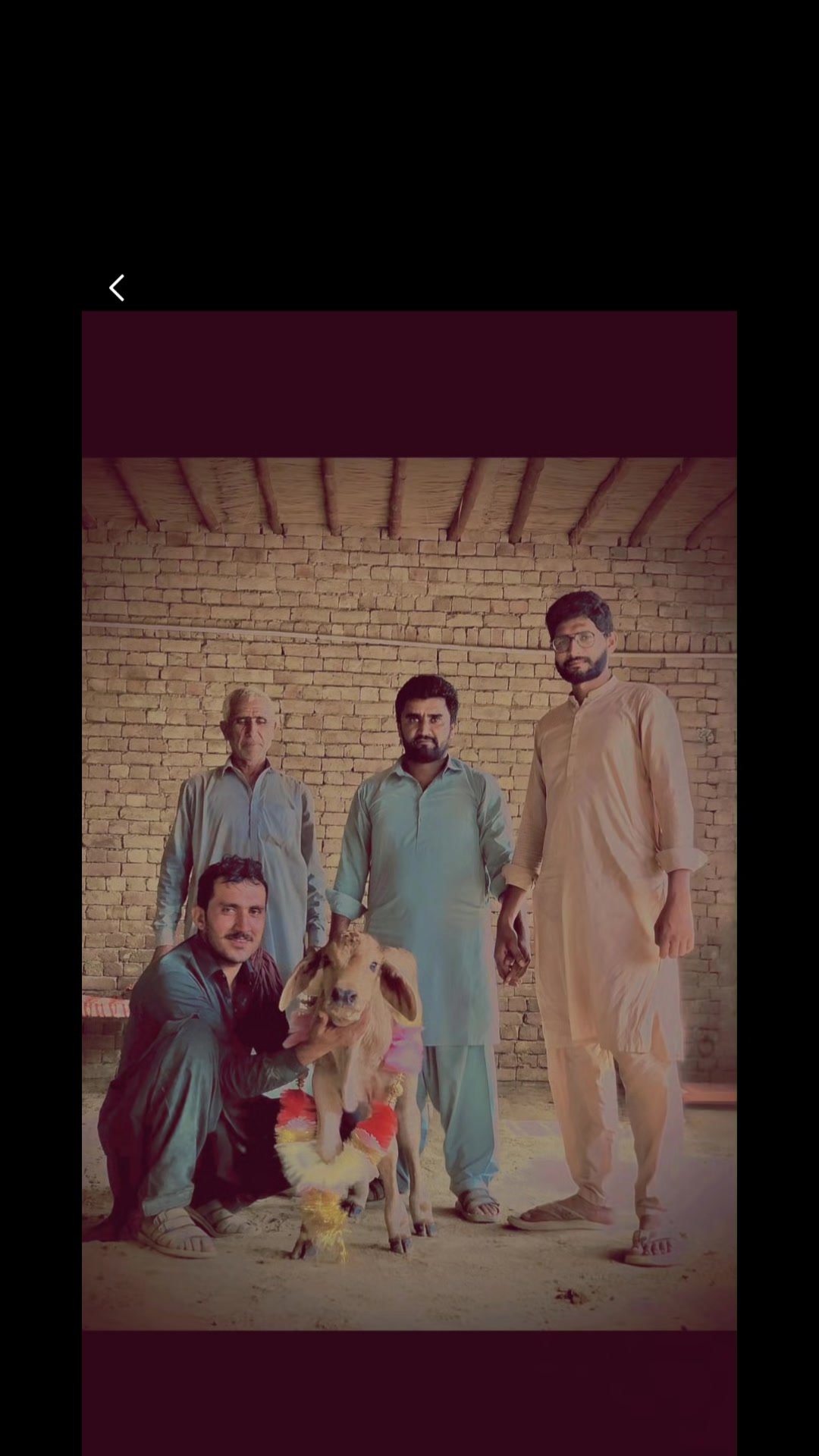 @Dr.Faheem meo MVCC