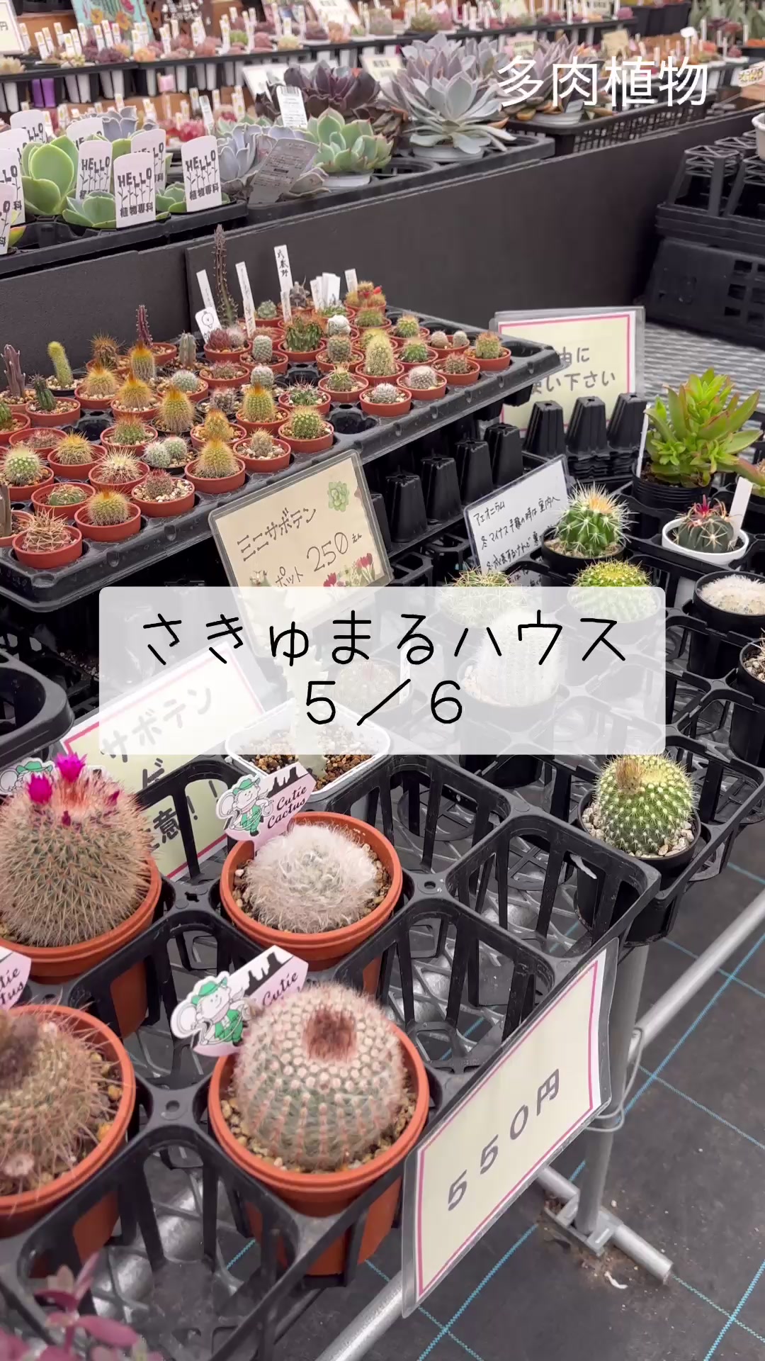 @さきゅまる～こぴとSHOP