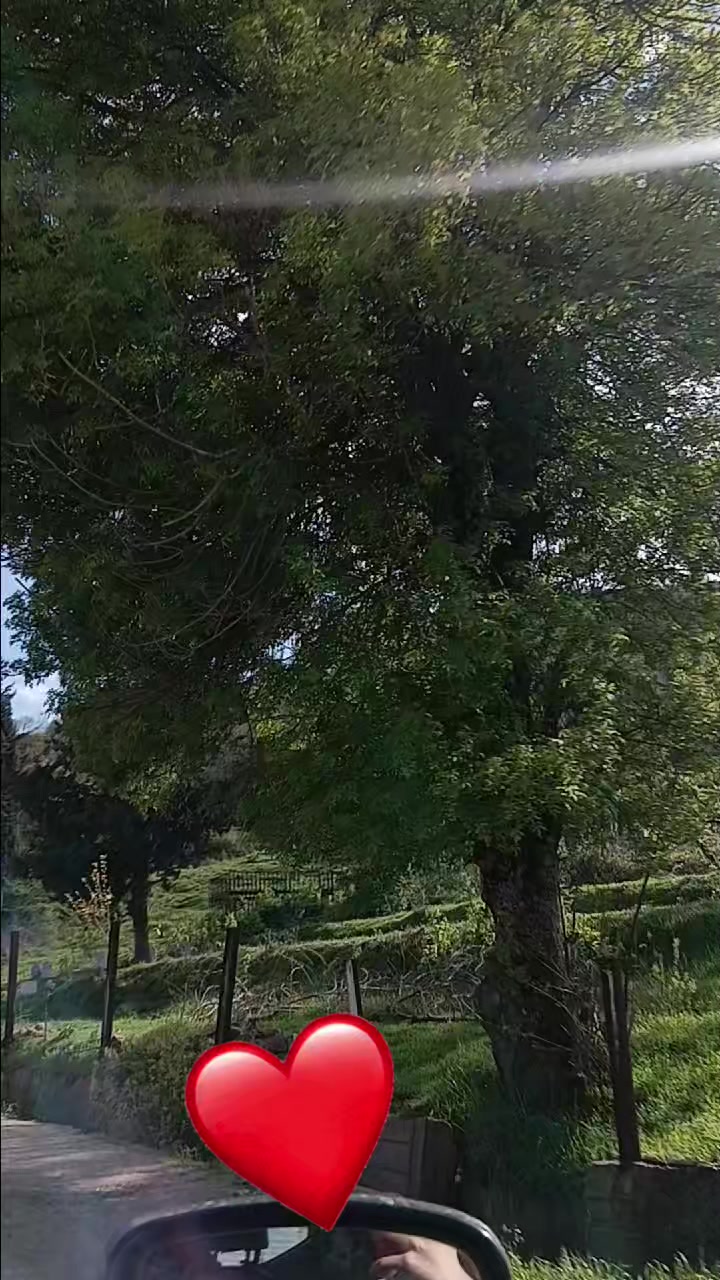 @𝑫𝒚𝒉♡