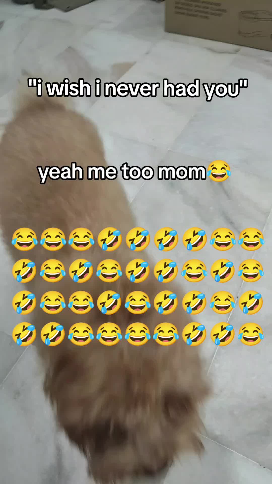 @E.