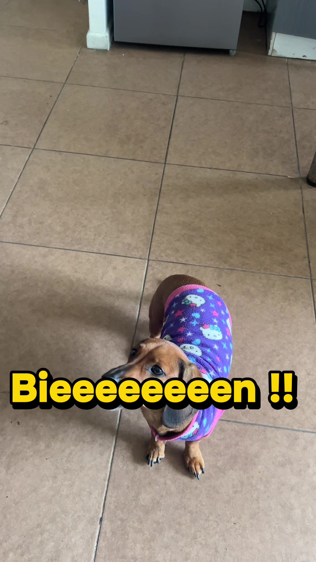 @Bernardo Muñoz A