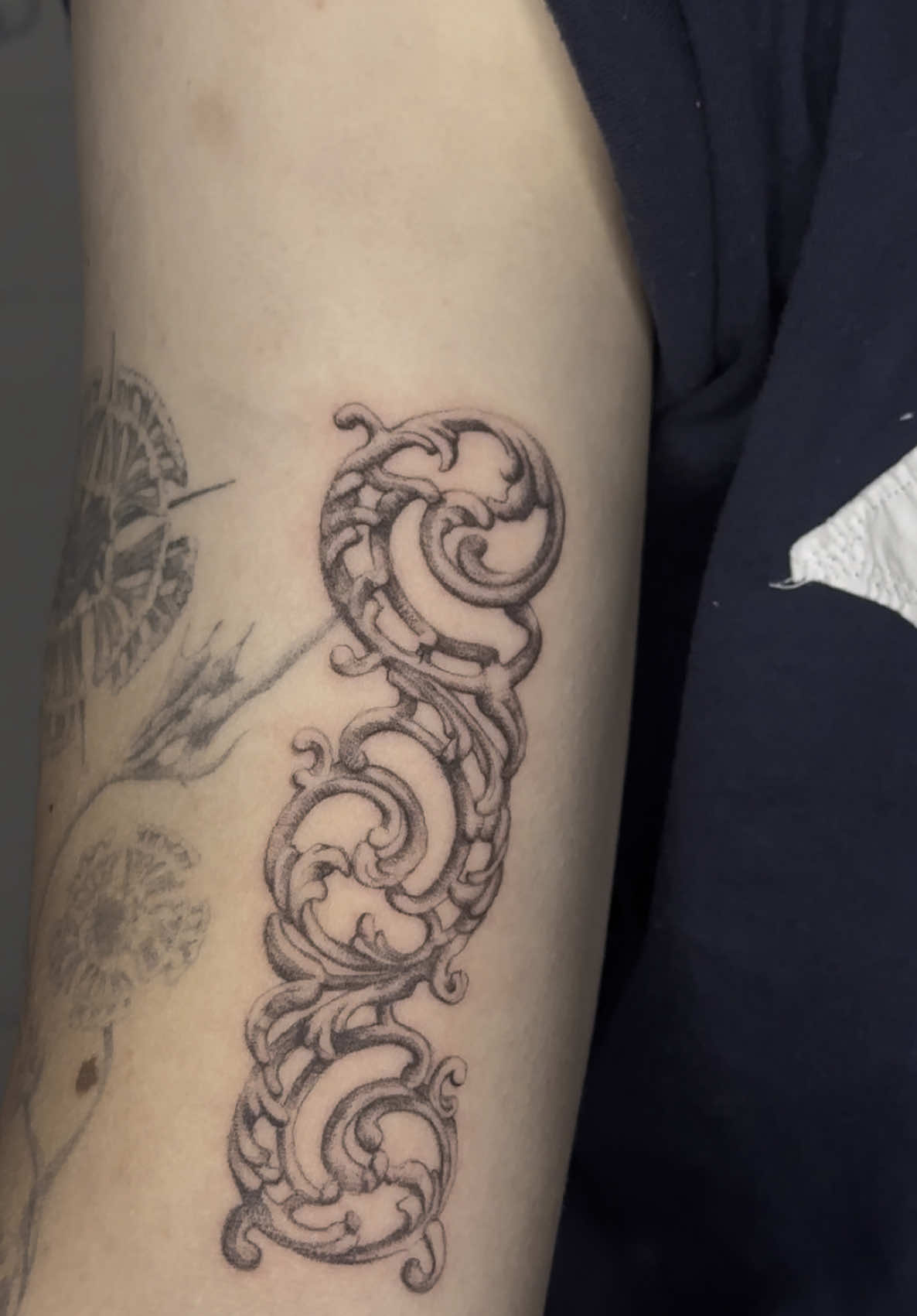 @fillyywillyy