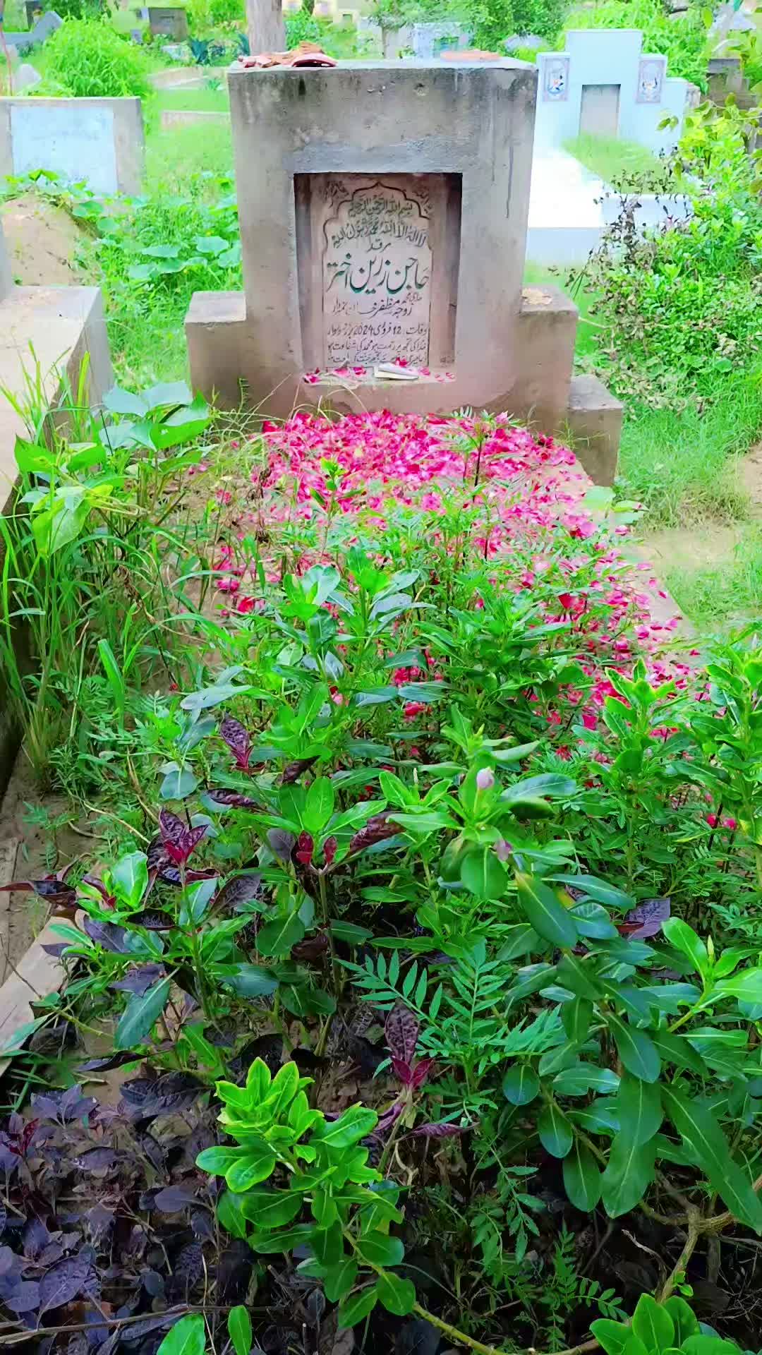 @M Zeshan Khan Mashwani