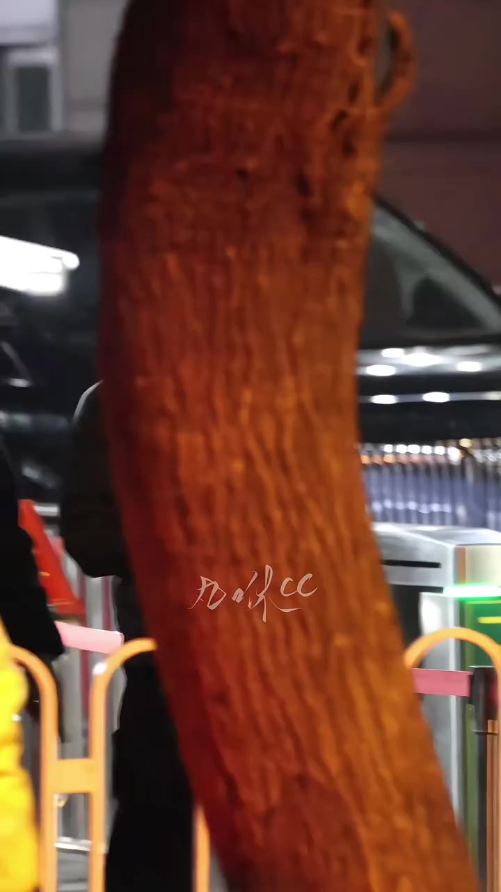 @𝙯𝙝𝙬