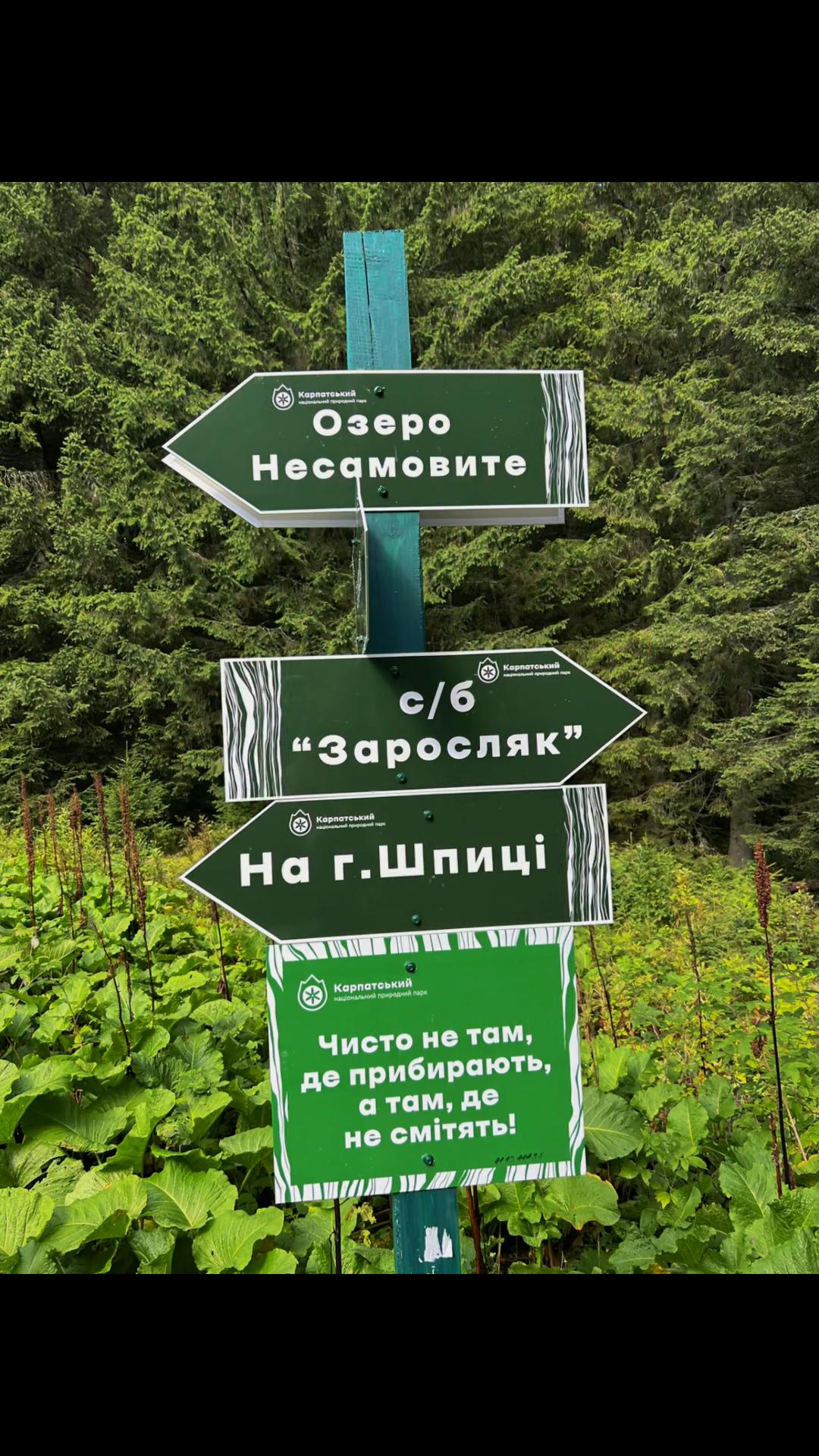 @Nusha