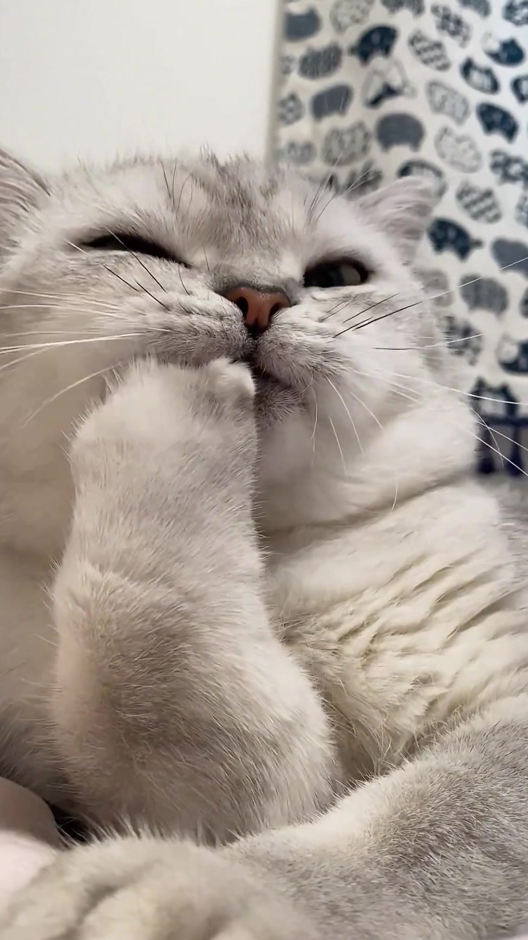 @Cute_kitten
