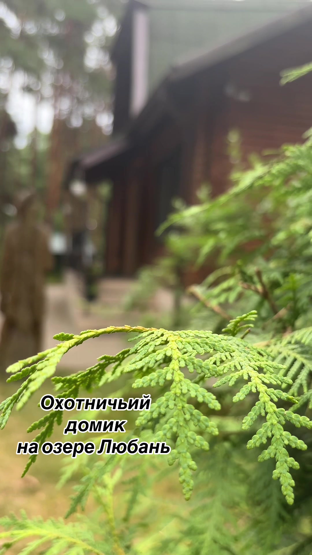 @Таня
