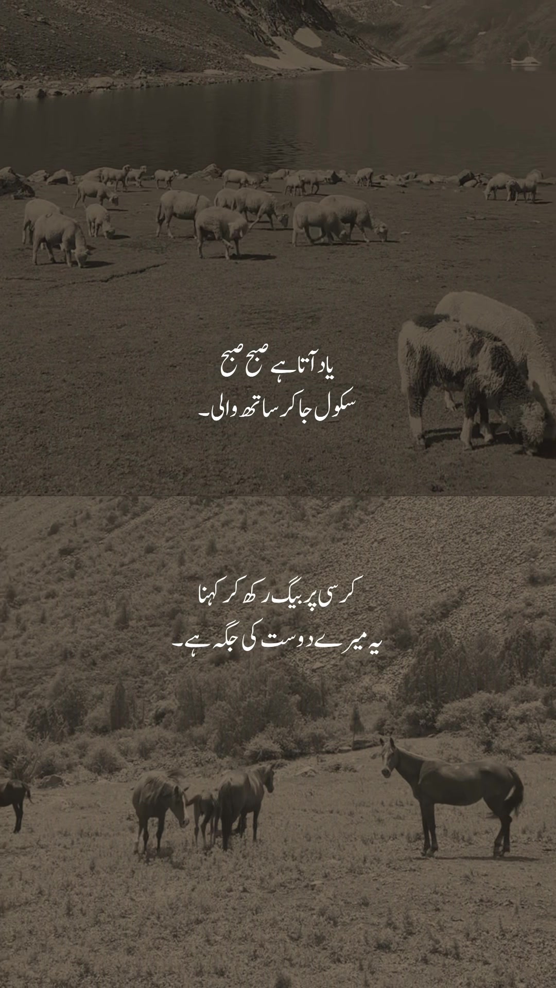 @Aksavchaaiaqjaba