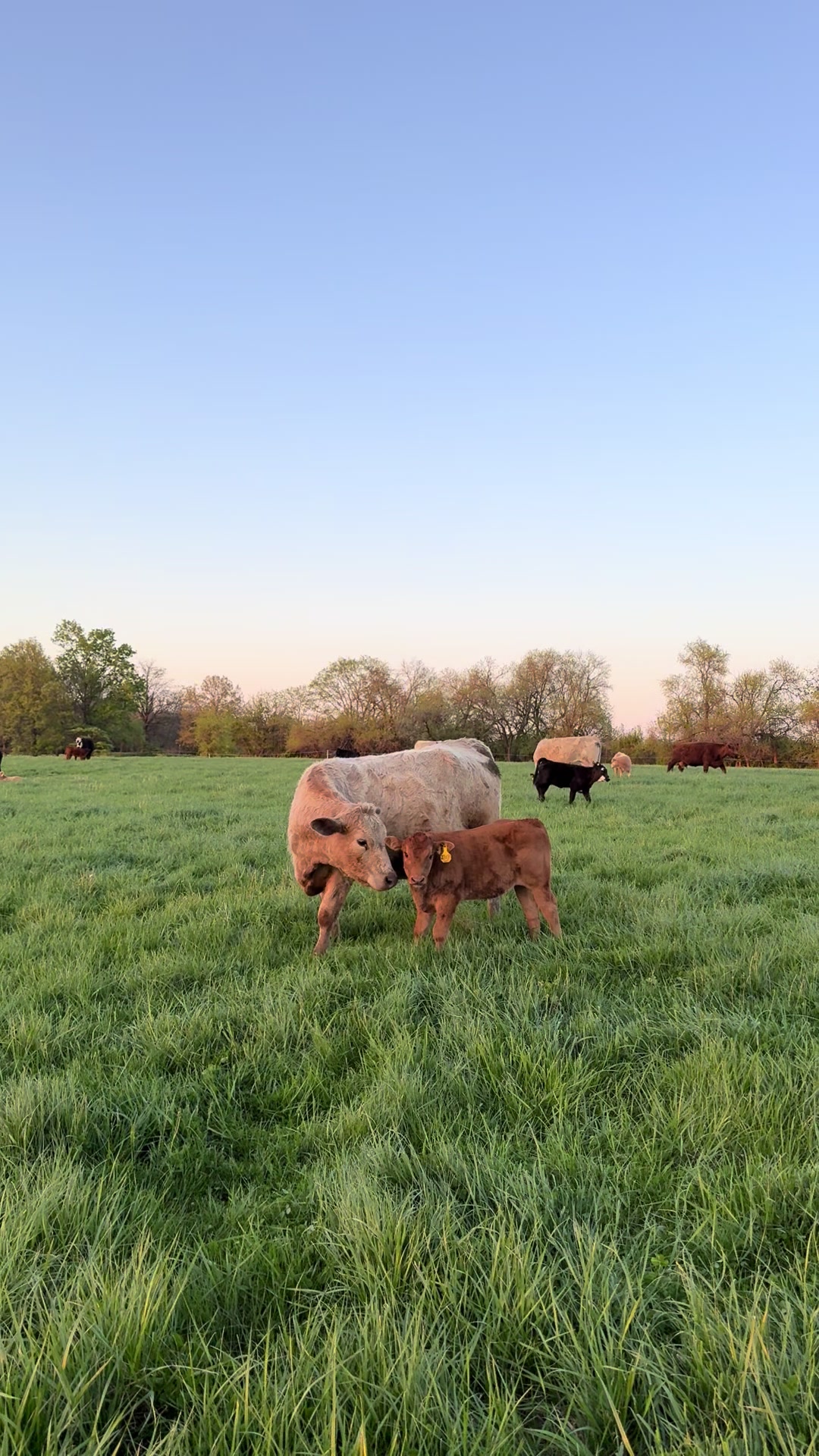 @kl2farms