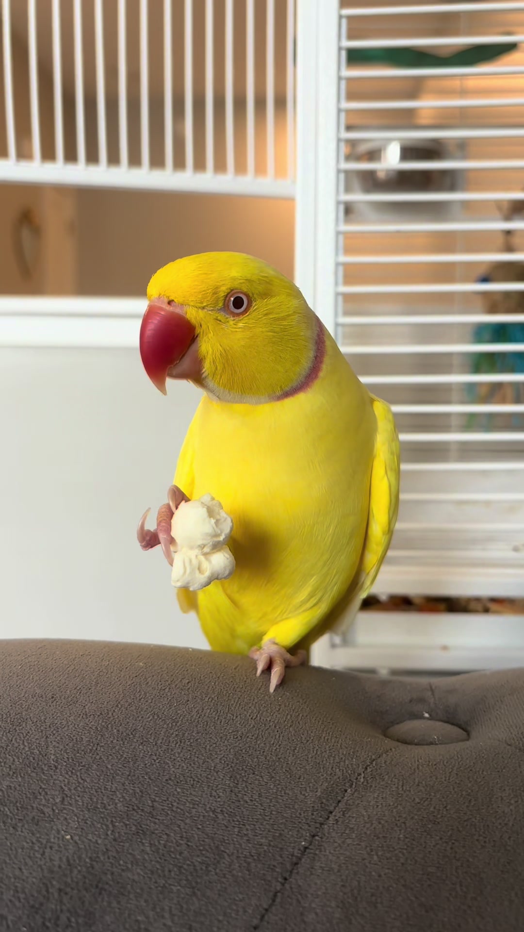 @TWINKIE 🐥