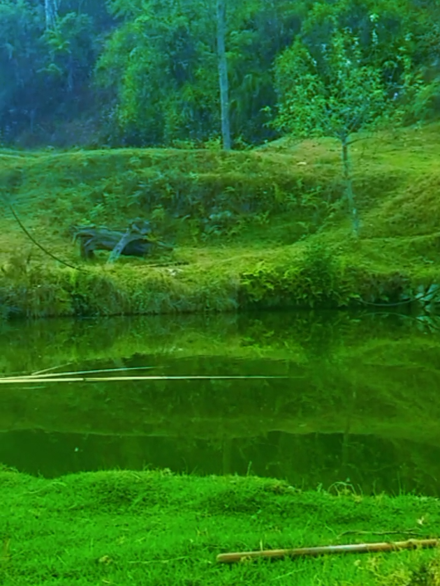 @Aamosh limbu