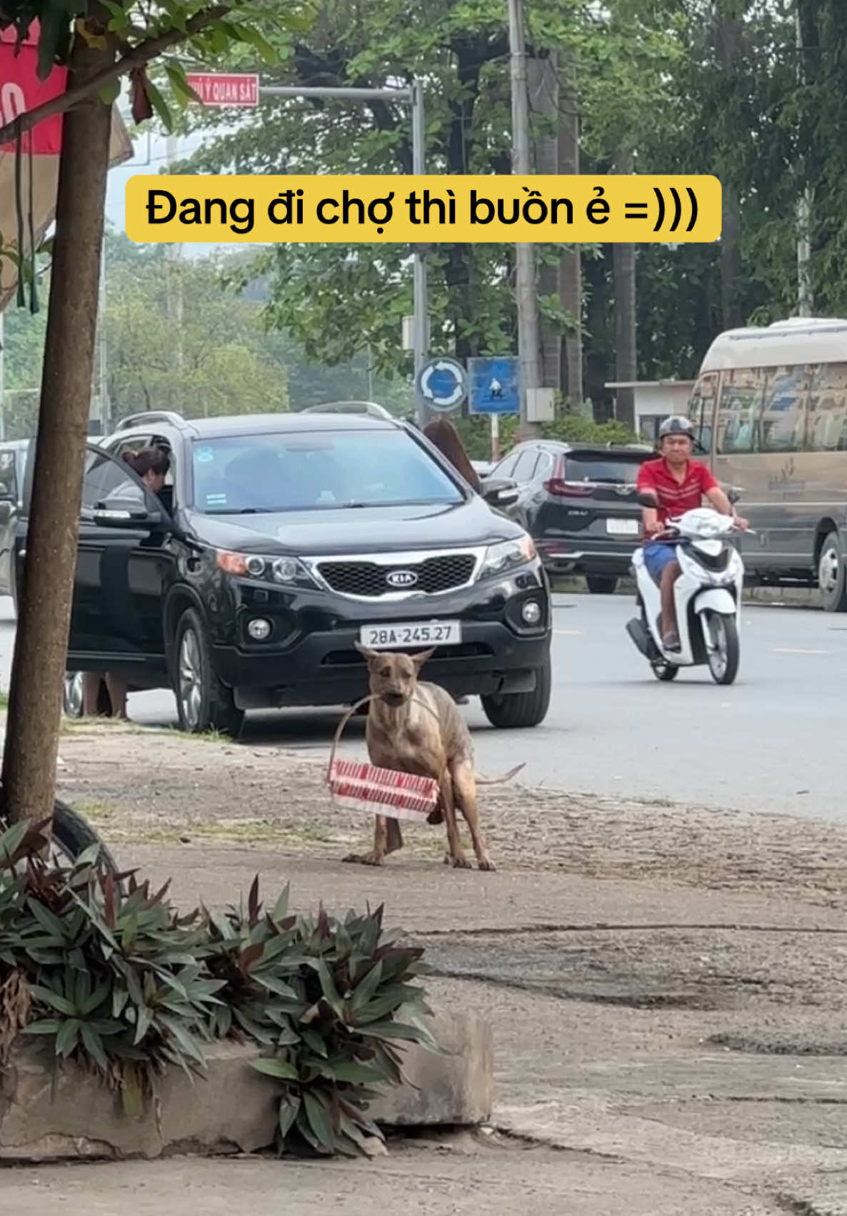 @Ốc V&agrave; Con