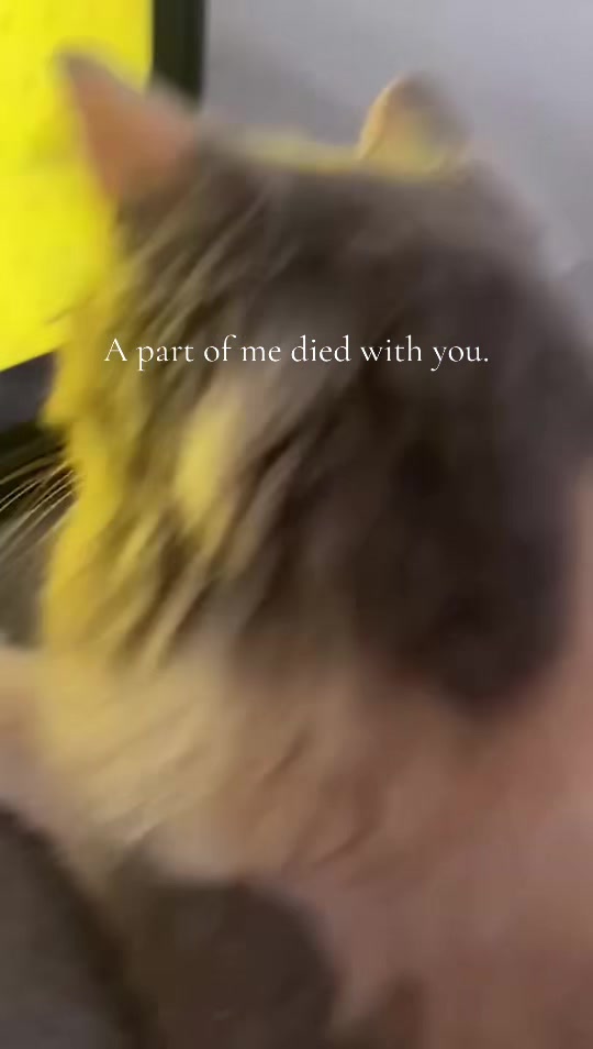 @*~_🍌🐟_~*