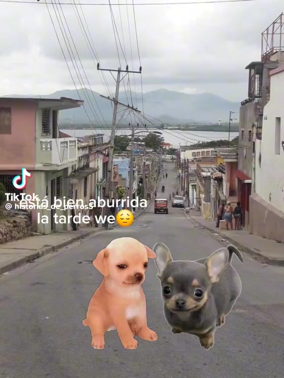 @Jhon dohe🩸🫀🩸🩸🩸🩸