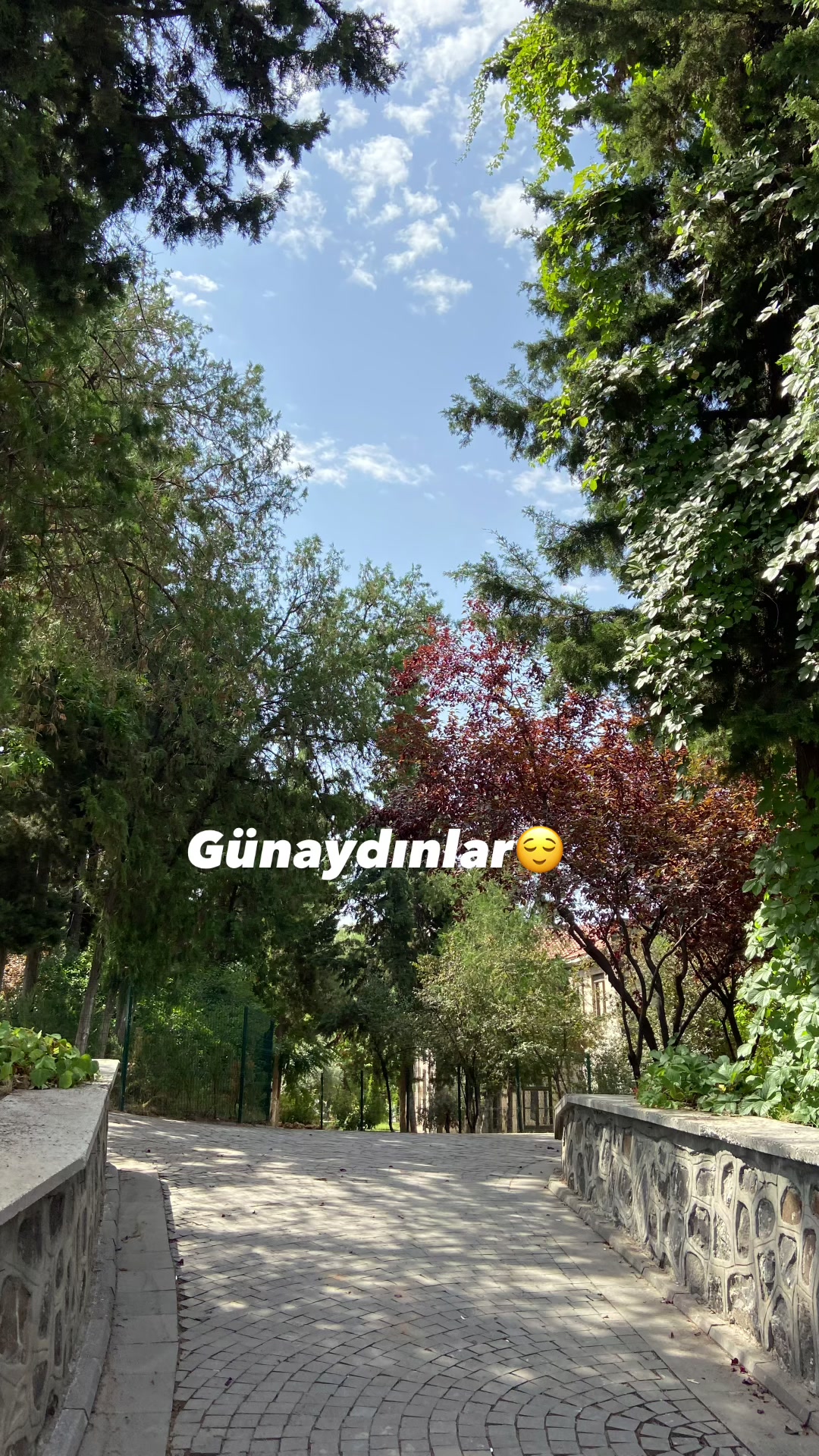 @Trendy.ayse