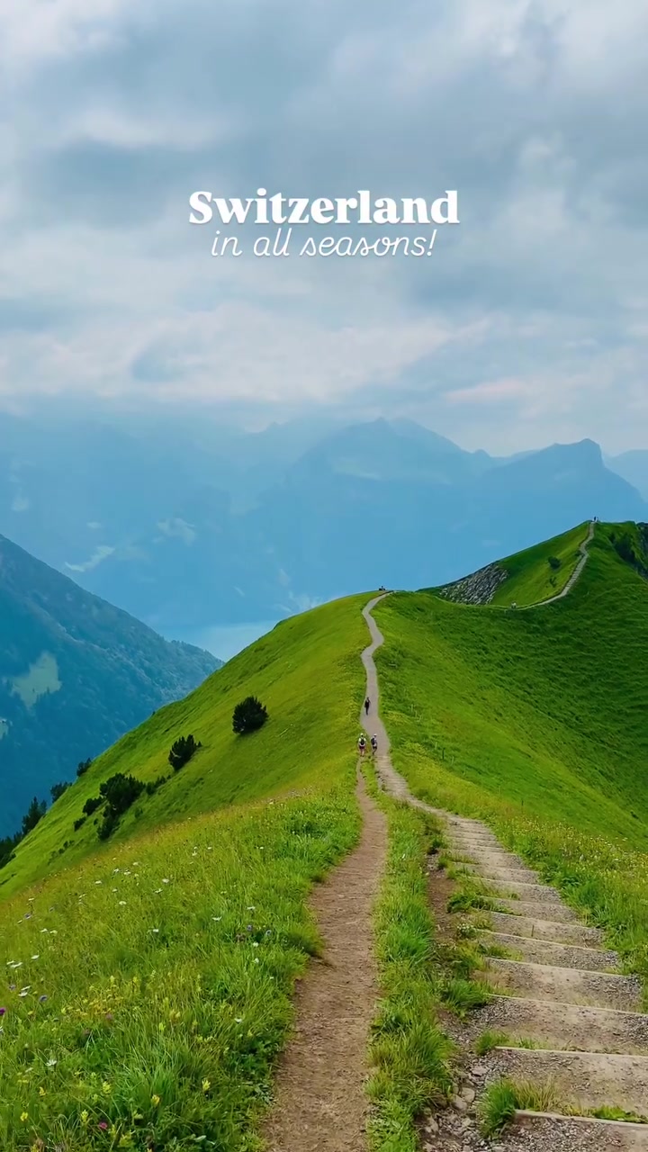 @swisstours