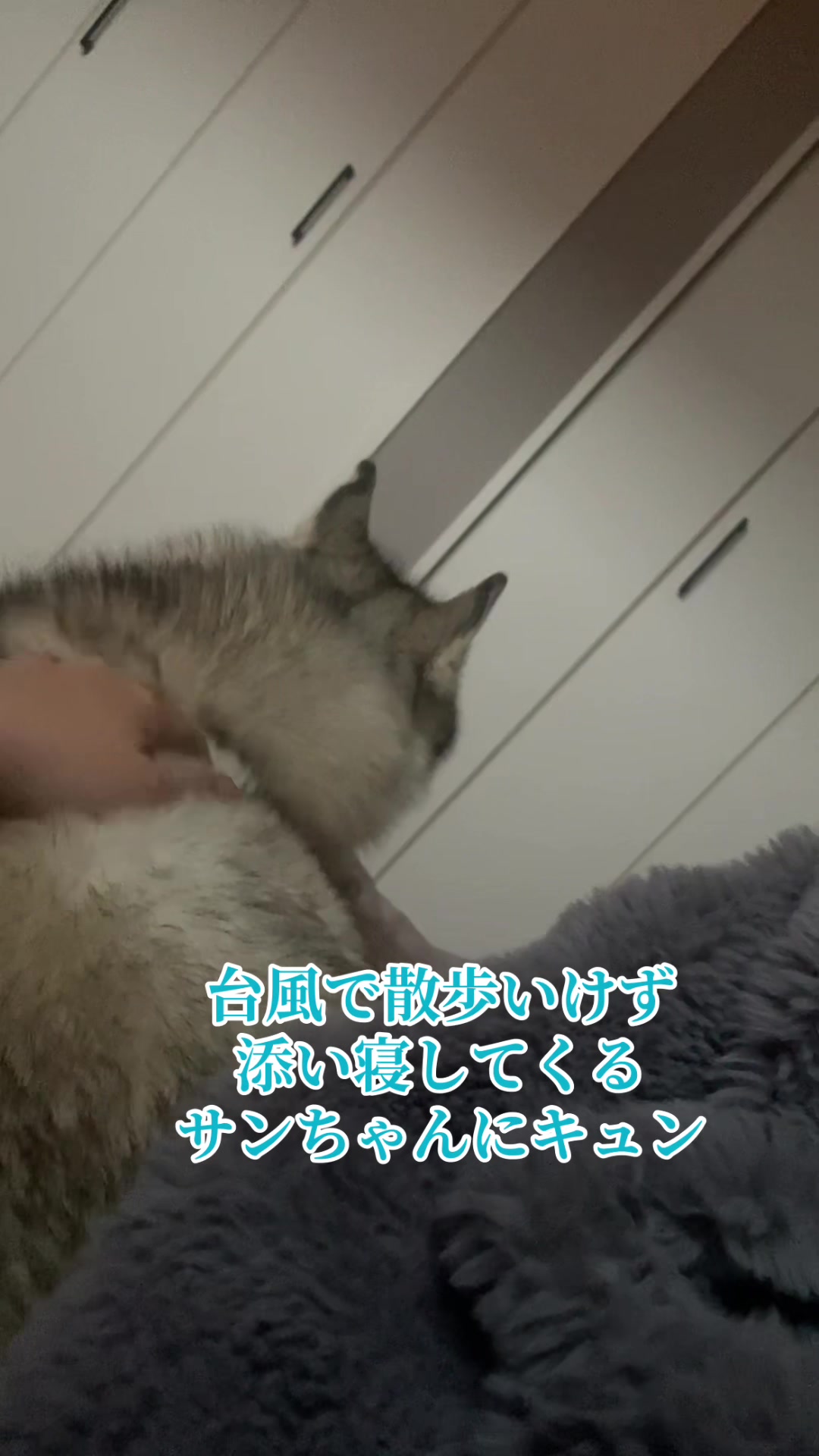 @サン☀️とムーン🌙