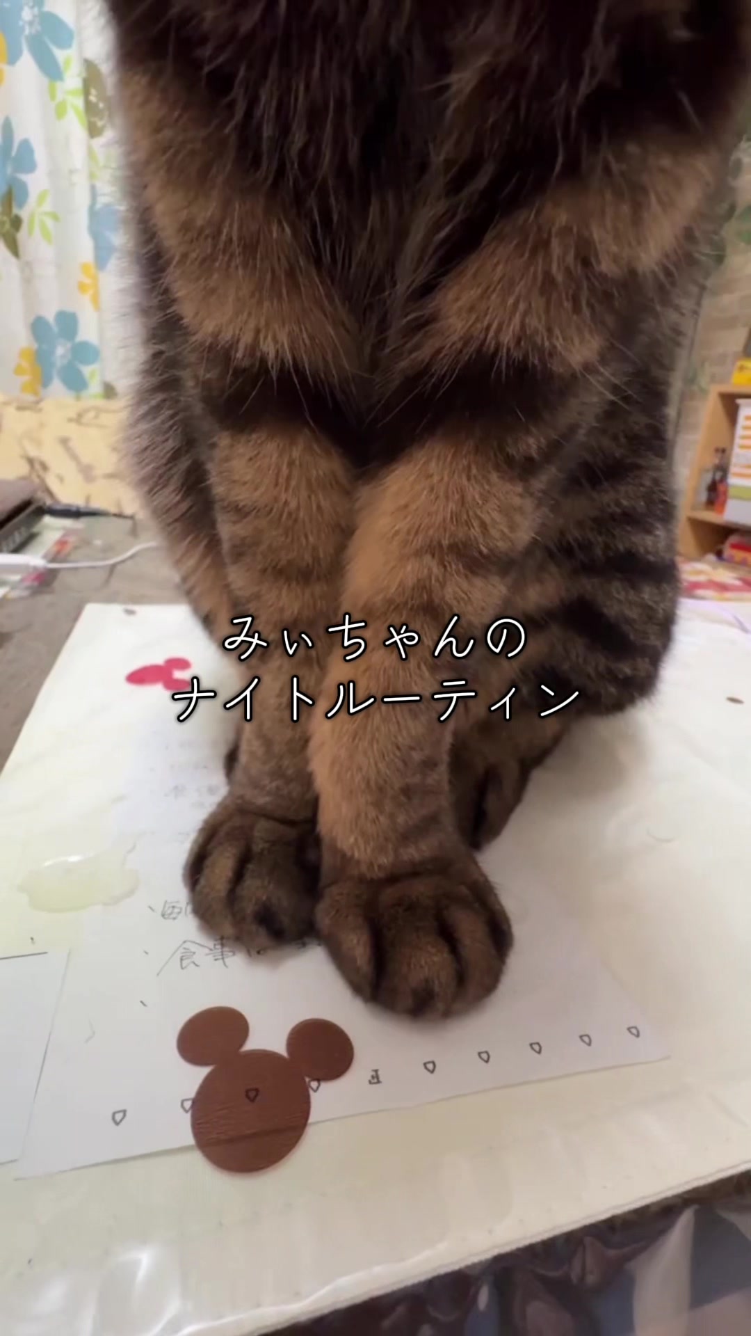 @みぃちゃん