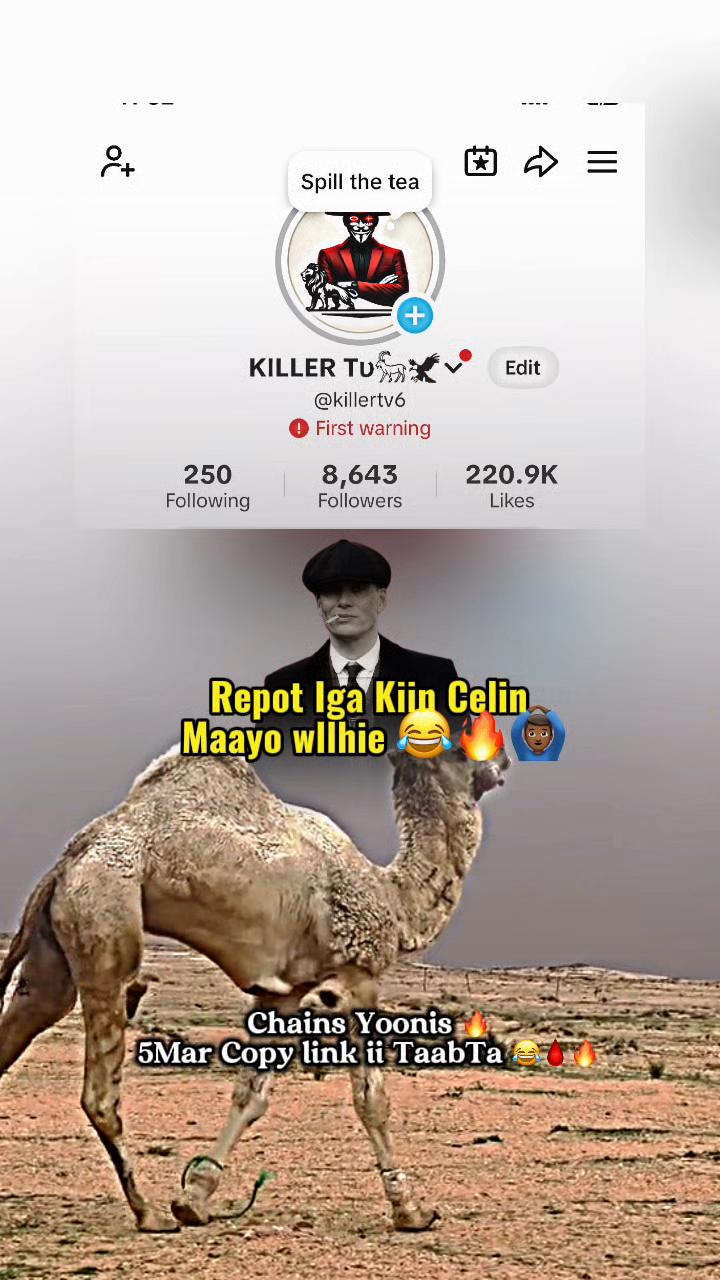 @𝐊𝐈𝐋𝐋𝐄𝐑 𝐓𝐯 𓃵📚
