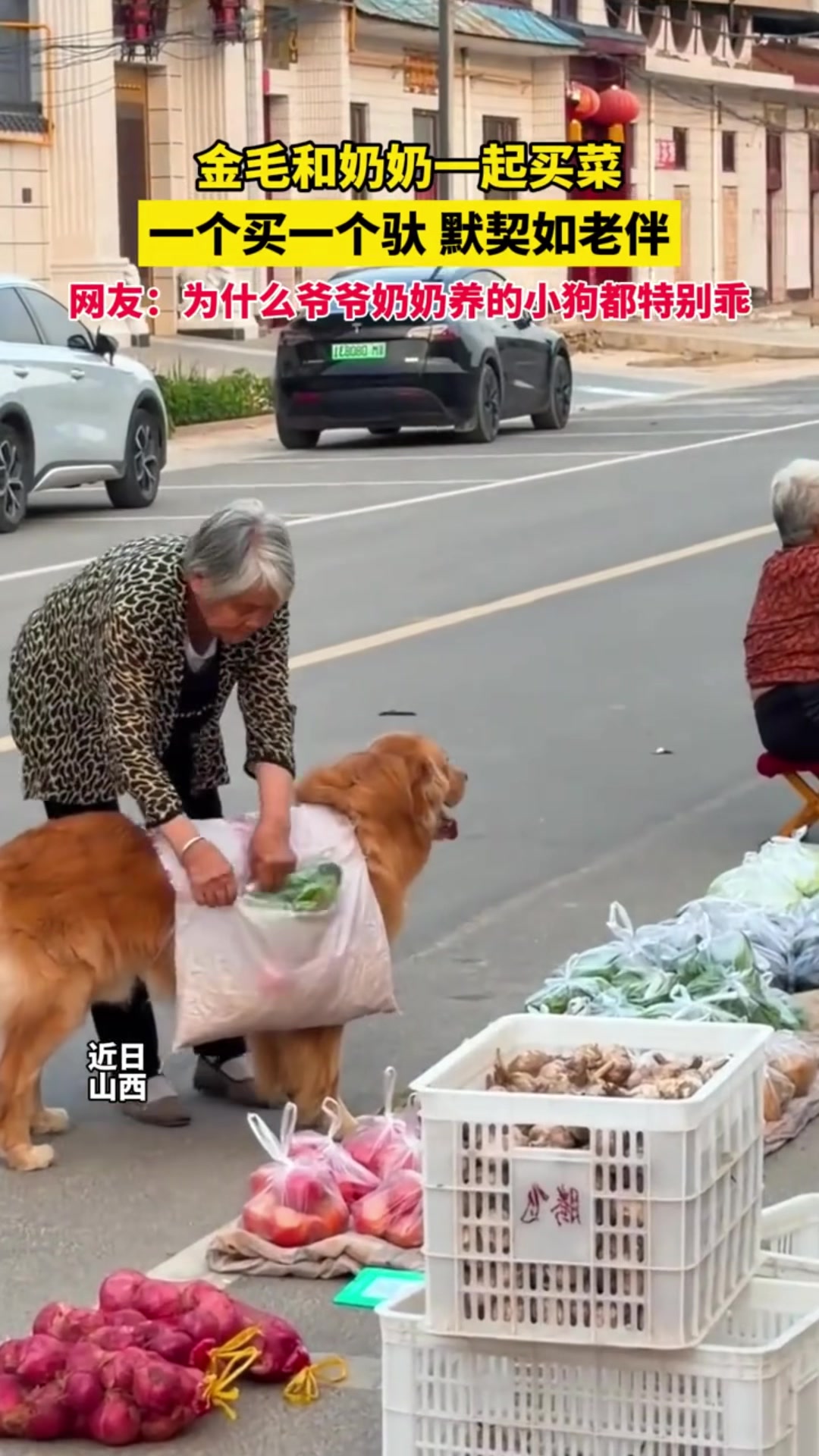 @中国蓝国际