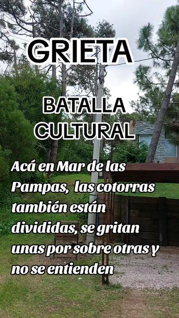 @Carlos