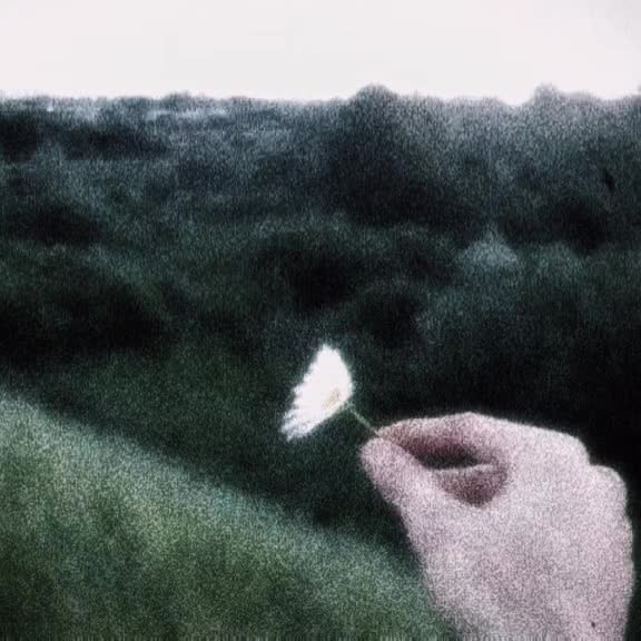 @𝔥𝔷𝔨𝔫𝔦𝔤𝔥𝔱