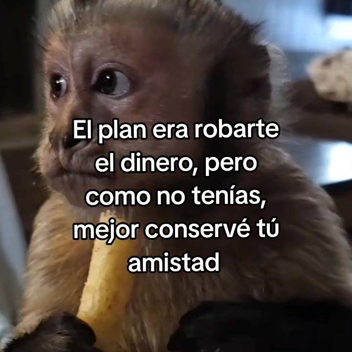@goodvibessxd
