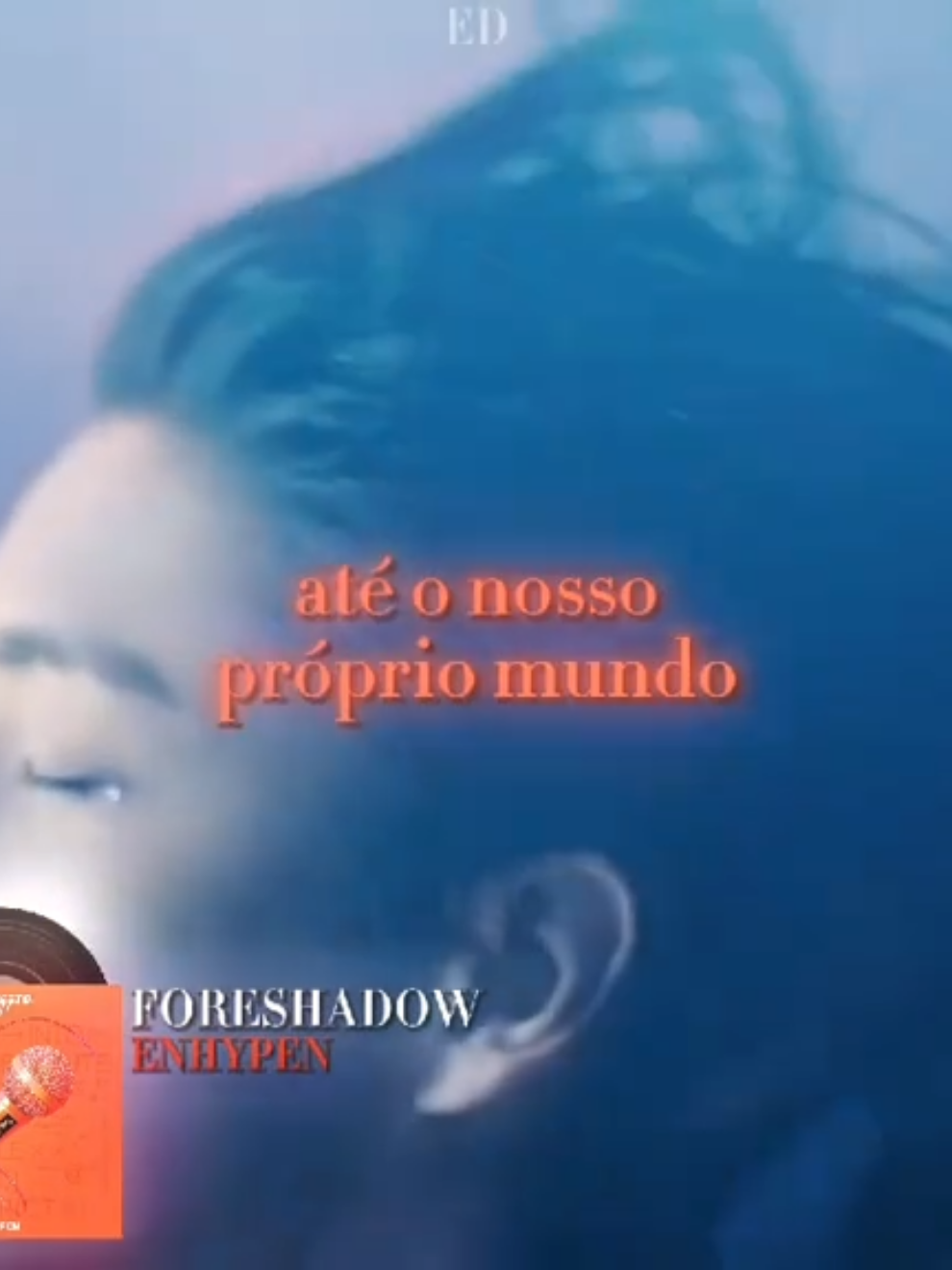@》ED《