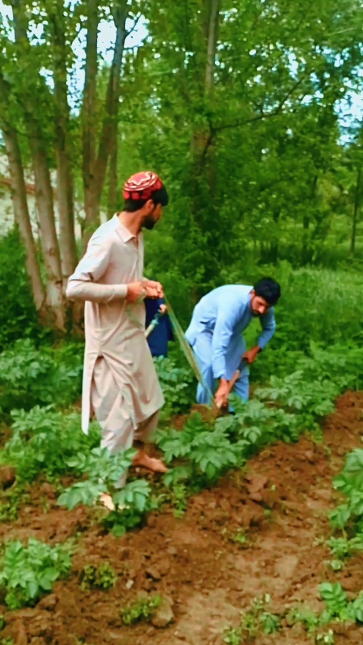 @Amir pukhtoon