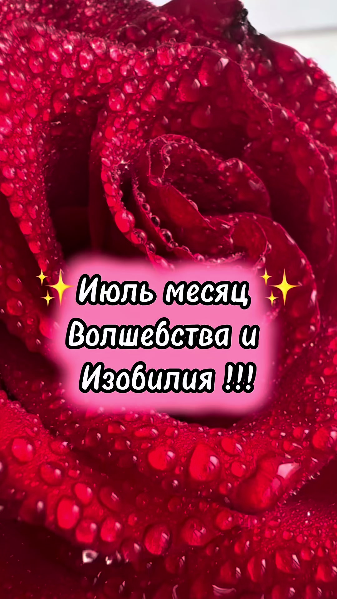@tarolog_luba