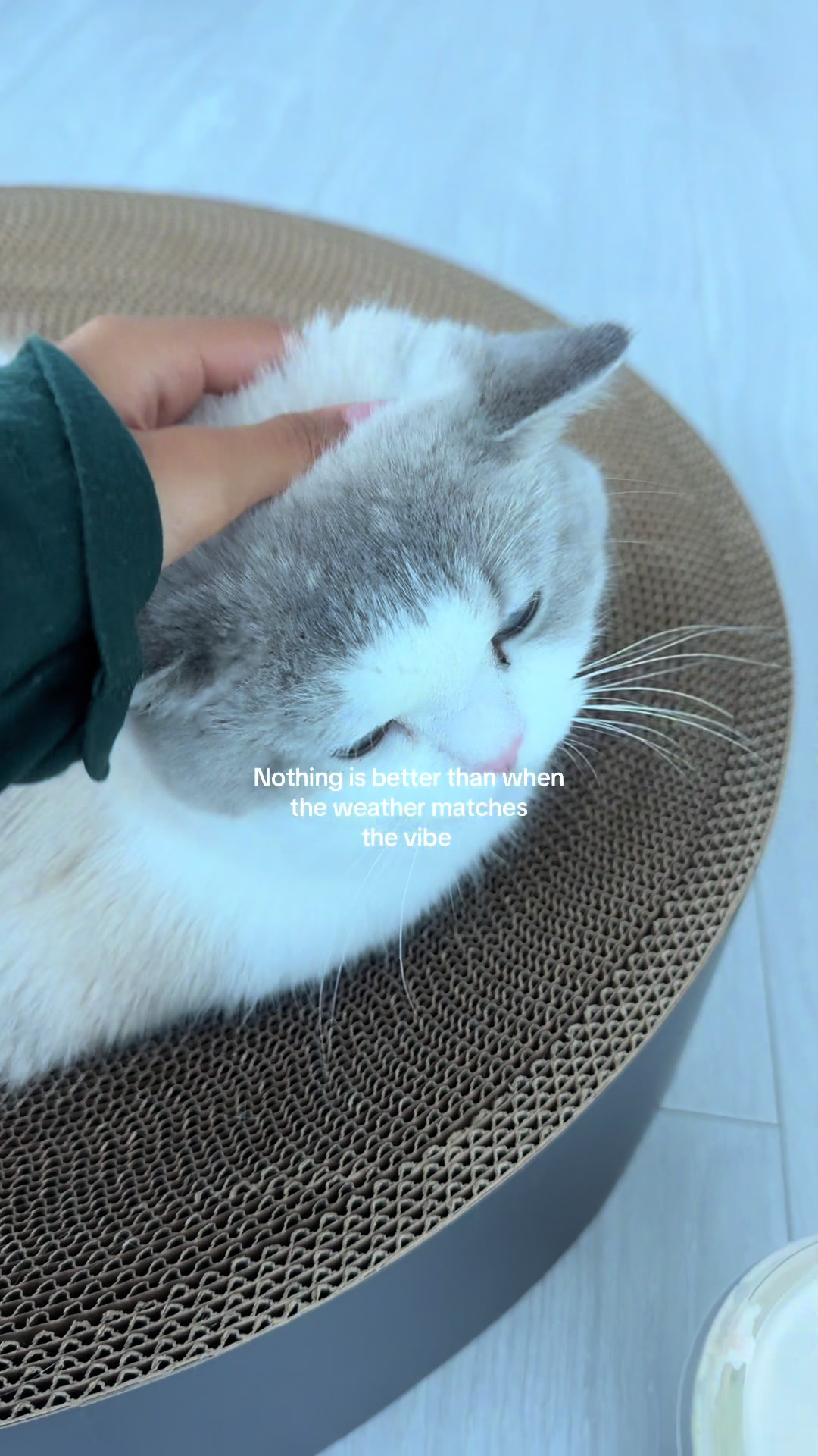 @ayana