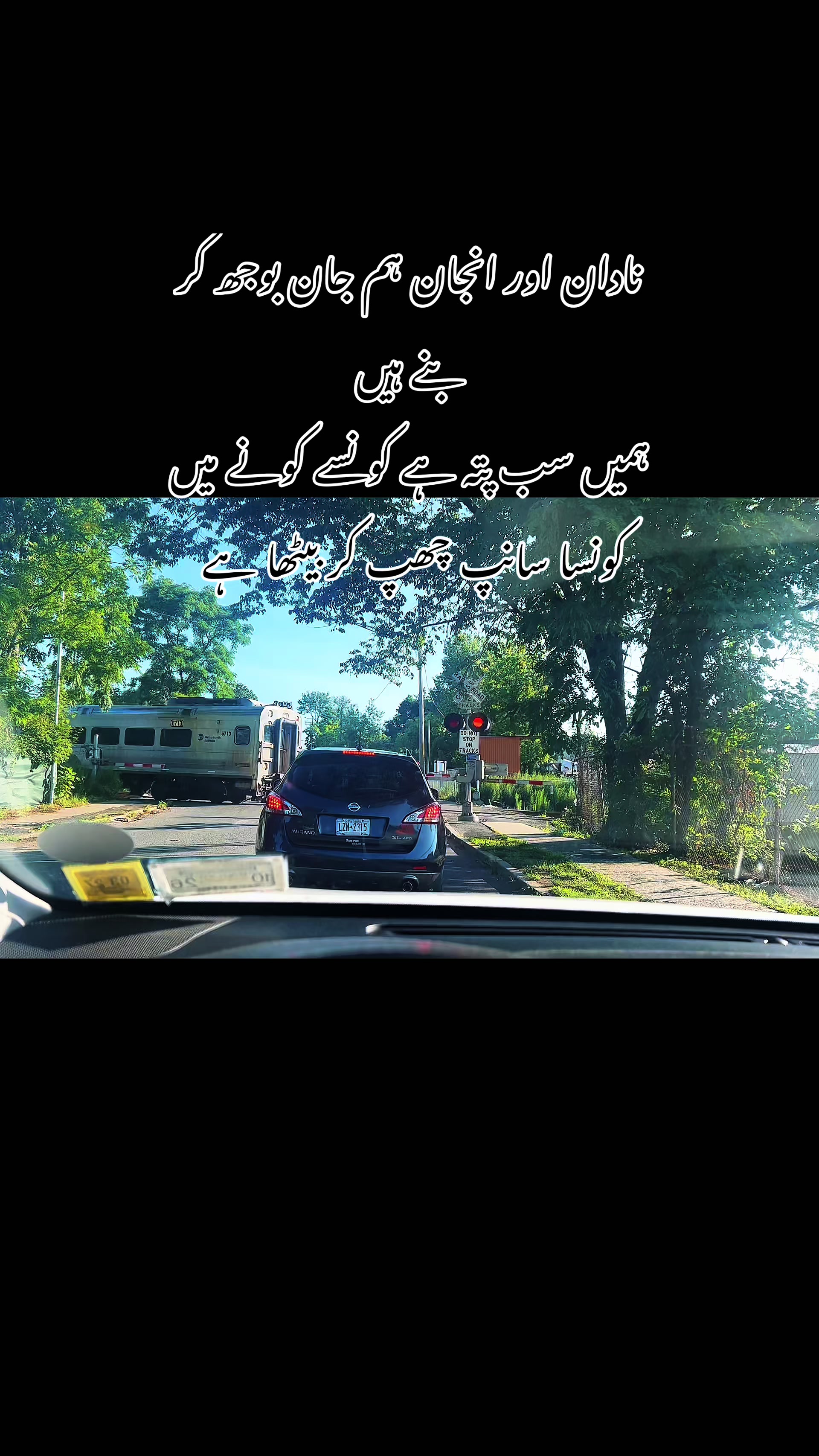 @Life in USA 🇺🇸