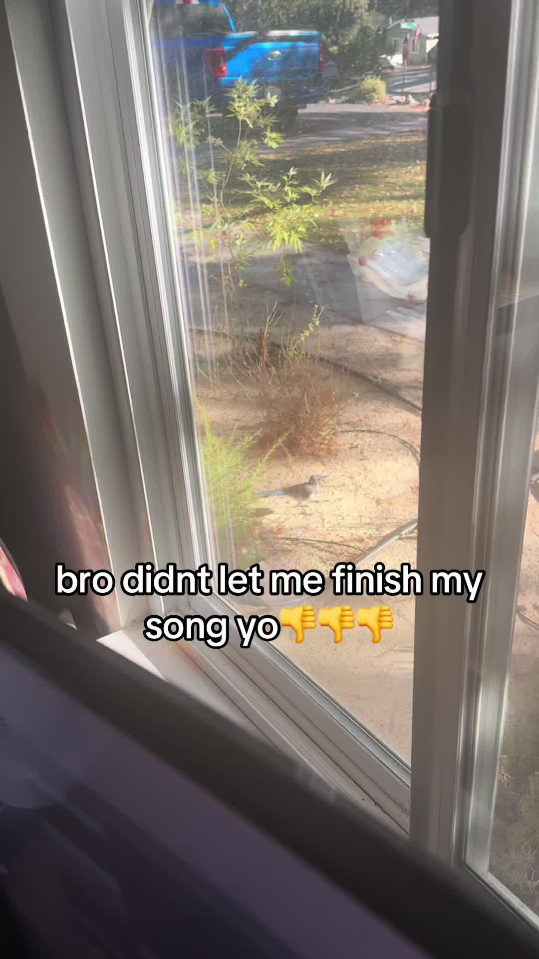 @laneallstar