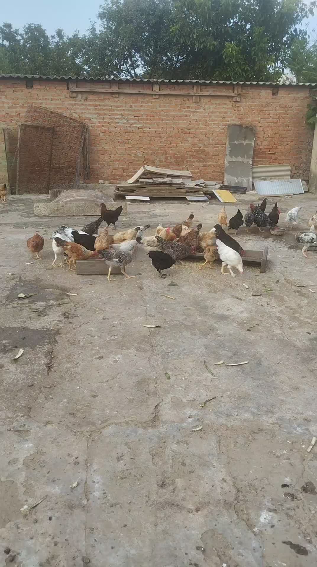 @Юлия