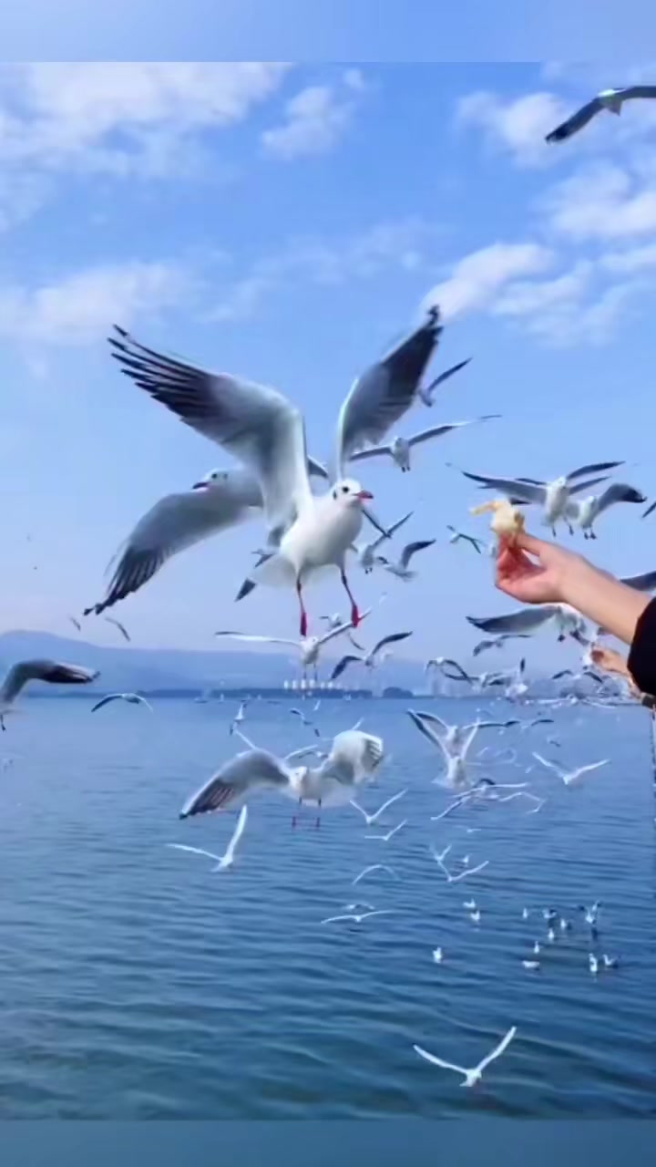 @மானமுள்ள தமிழச்சி