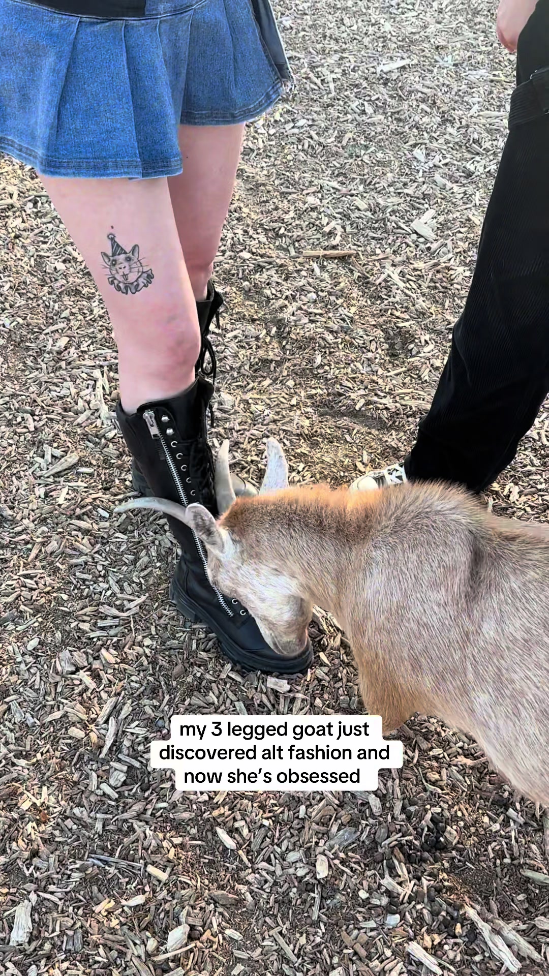 @Maya