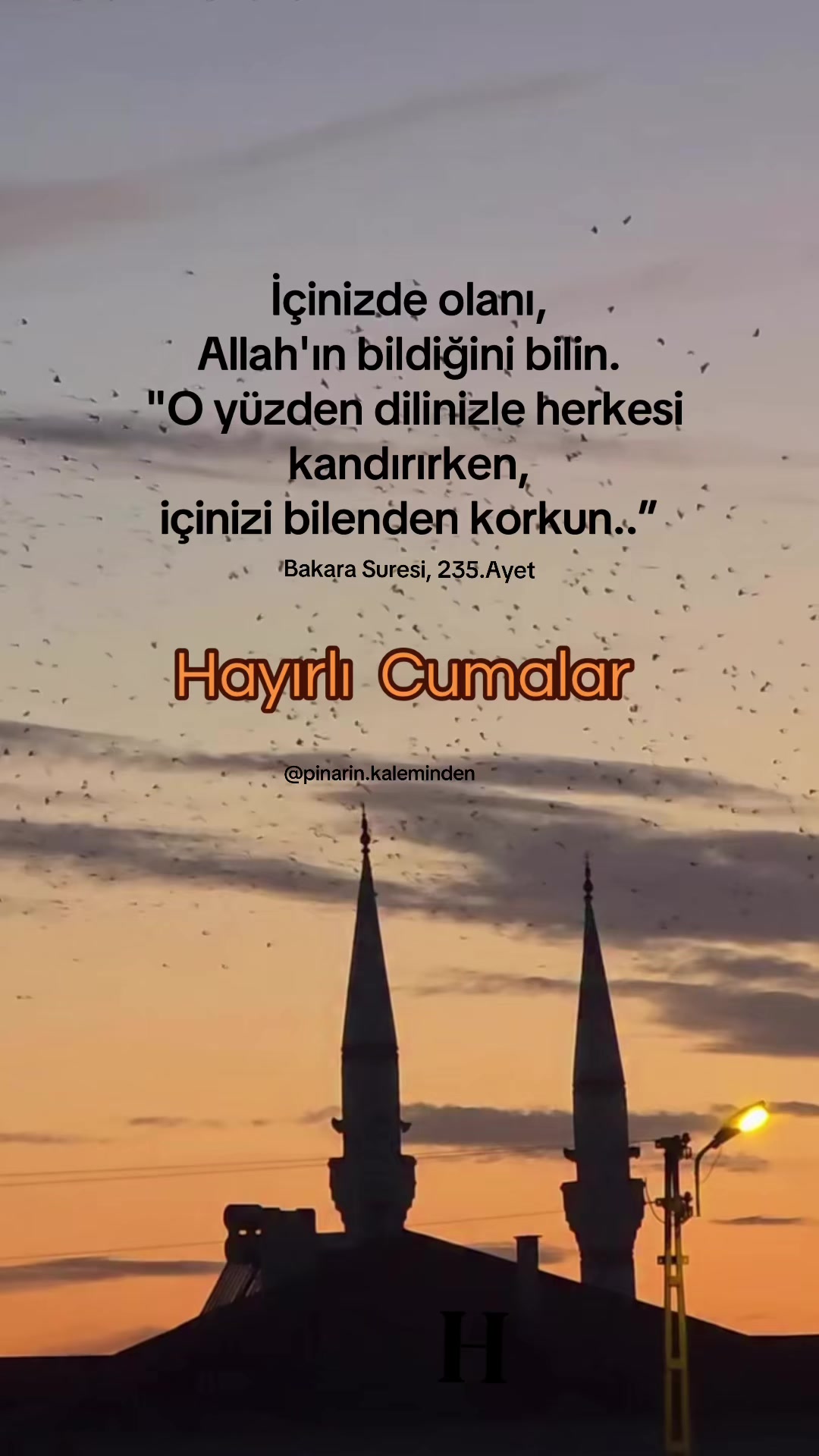 @03 Yanlız 🐺KURT 🤘🤘 🇹🇷🇹?